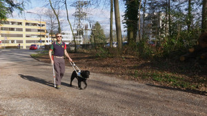 Unebenheiten werden von Sohle absorbiert